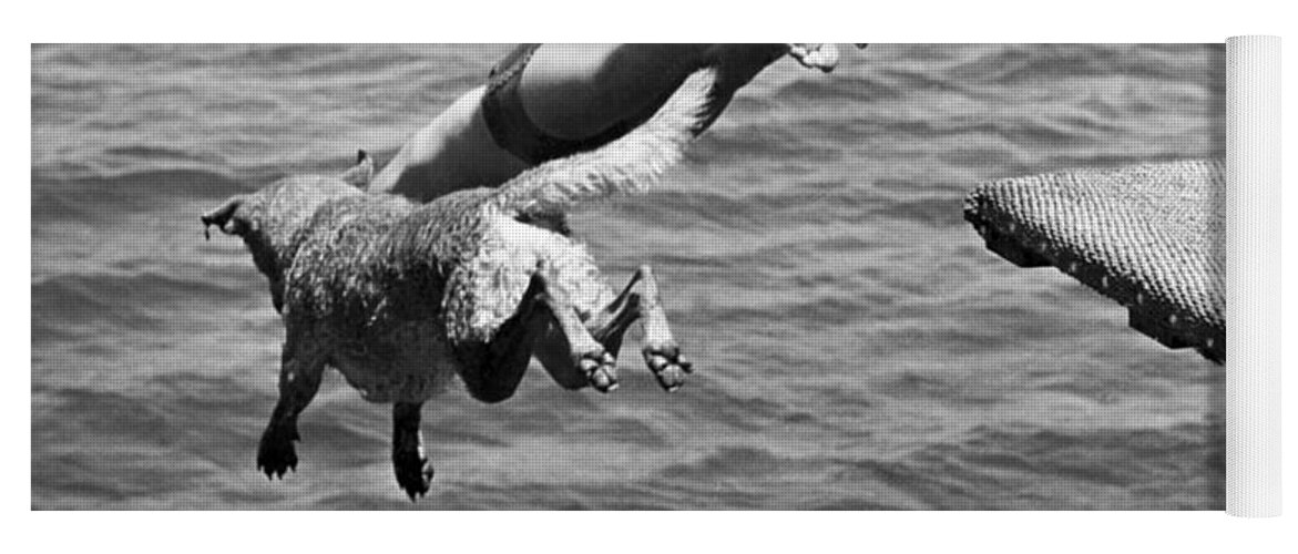 1940 Yoga Mat featuring the photograph Boy And His Dog Dive Together by Underwood Archives