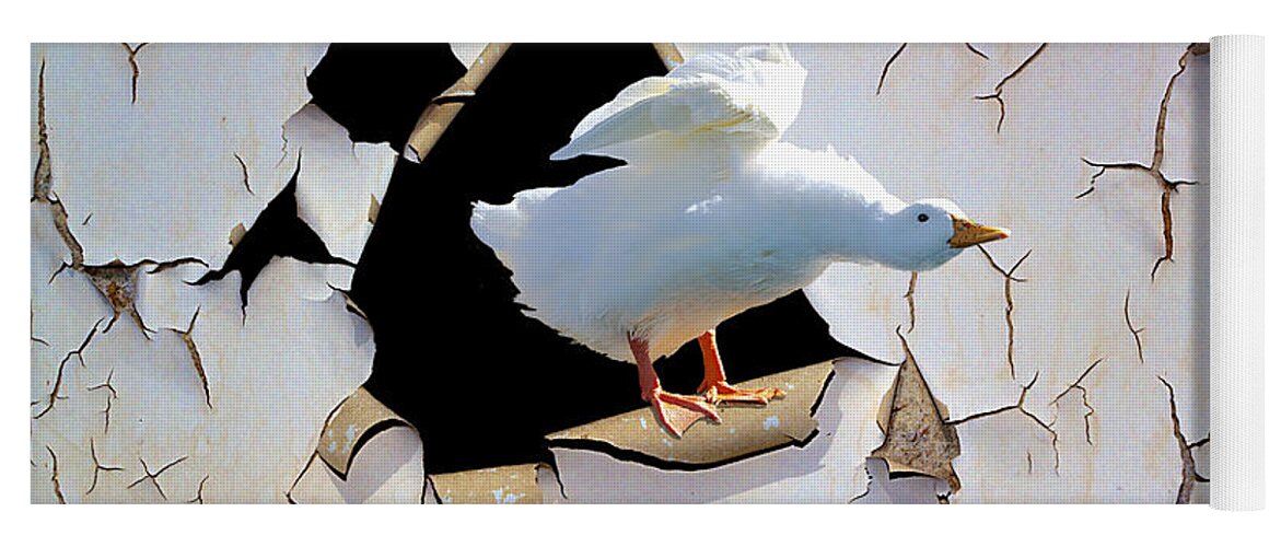 Duck Yoga Mat featuring the photograph Breakout by Phyllis Denton