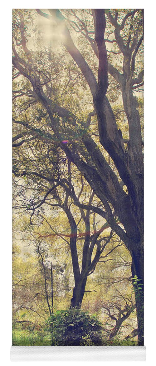 Dry Creek Regional Park Yoga Mat featuring the photograph Brightening Up the Day by Laurie Search