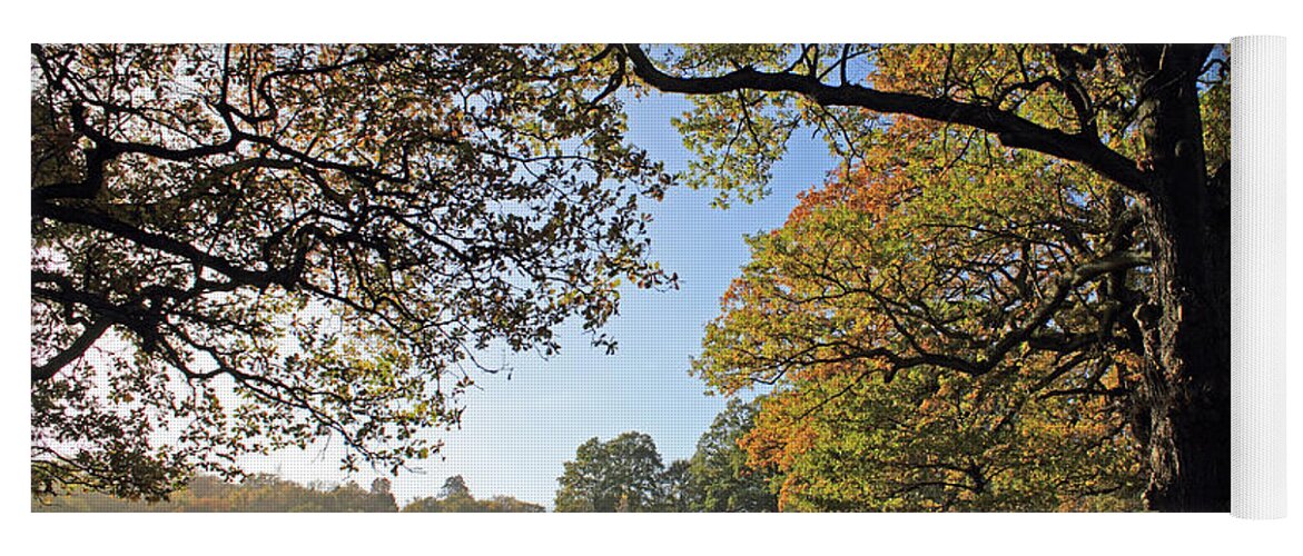 British English Countryside Landscape Yoga Mat featuring the photograph British Autumn by Julia Gavin