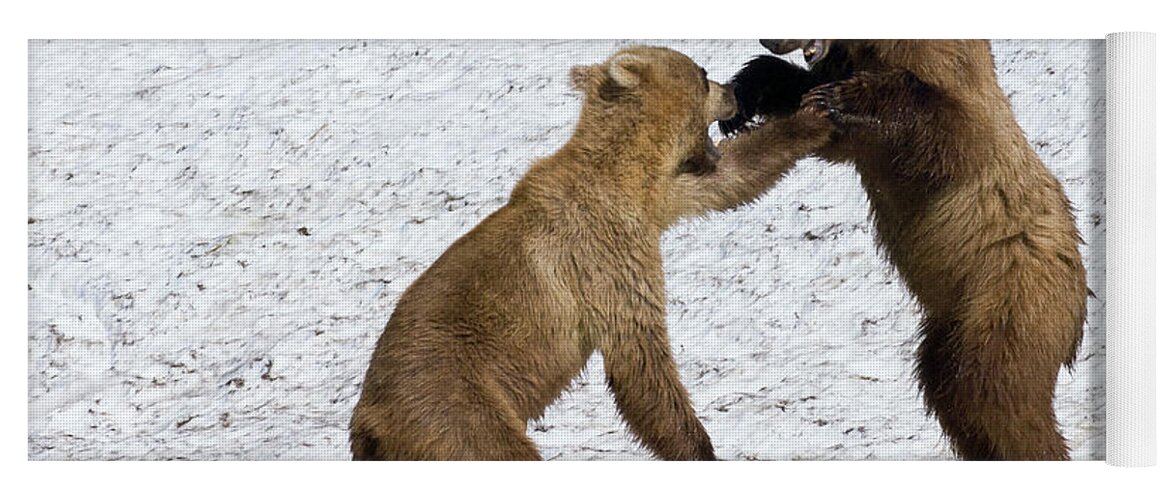 00782007 Yoga Mat featuring the photograph Brown Bear Ursus Arctos Cubs Play by Sergey Gorshkov