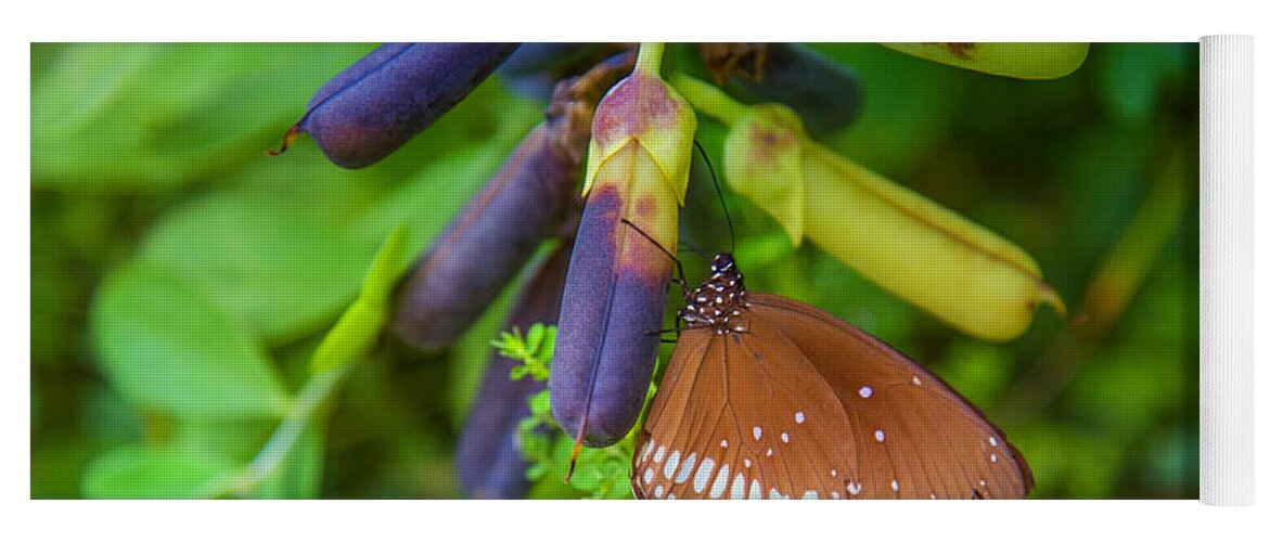 Butterfly Yoga Mat featuring the photograph Brown butterfly in the green jungle by Gina Koch