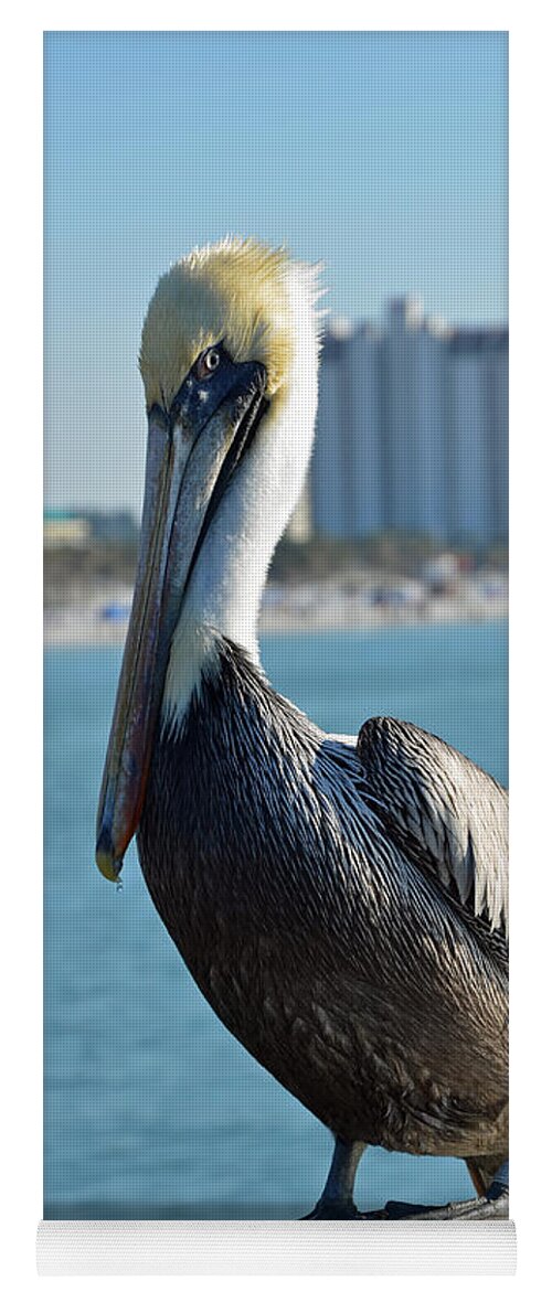 Pelican Yoga Mat featuring the photograph Brown Pelican by Robert Meanor
