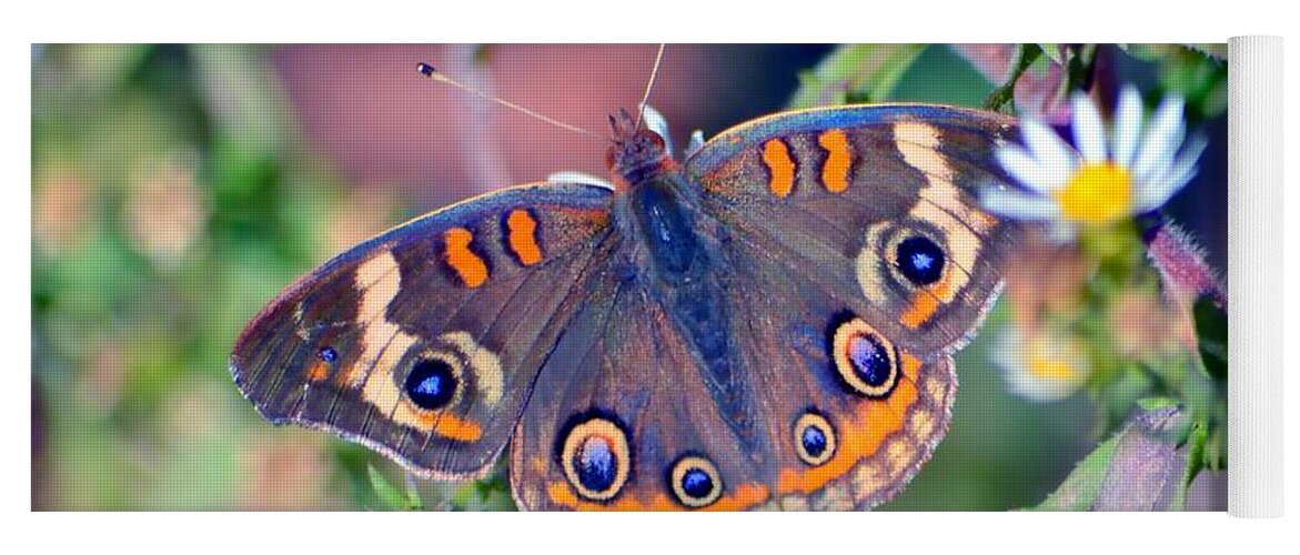 Butterfly Yoga Mat featuring the photograph Buckeye by Deena Stoddard