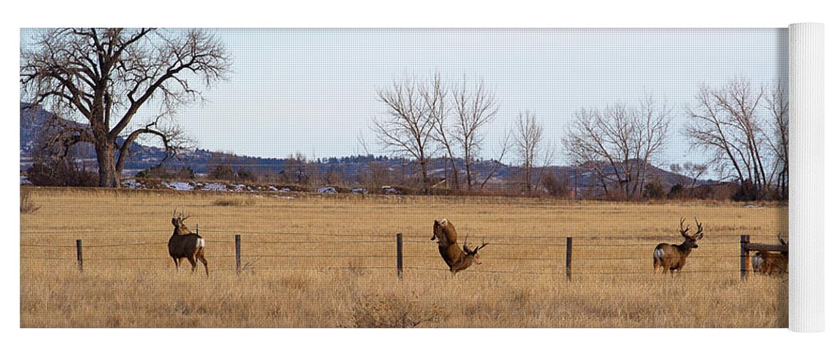 Deer Jumping Phoograph Yoga Mat featuring the photograph Bucks and Geese by Jim Garrison