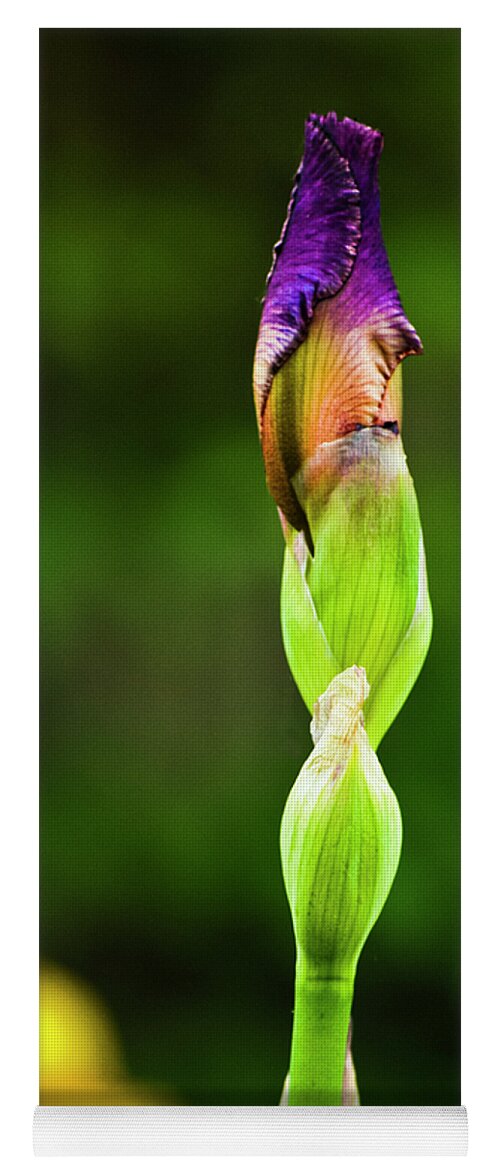 Botanical Yoga Mat featuring the photograph Budding Iris by Christi Kraft
