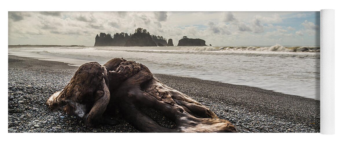 Olympic National Park Yoga Mat featuring the photograph Buried by Kristopher Schoenleber