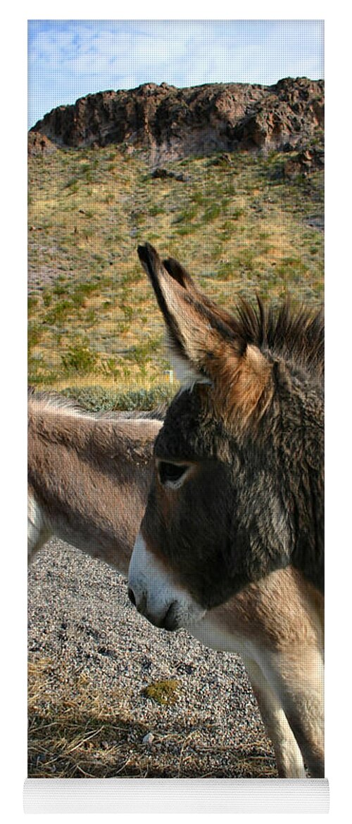 Mules Yoga Mat featuring the photograph Burros by Kristin Elmquist