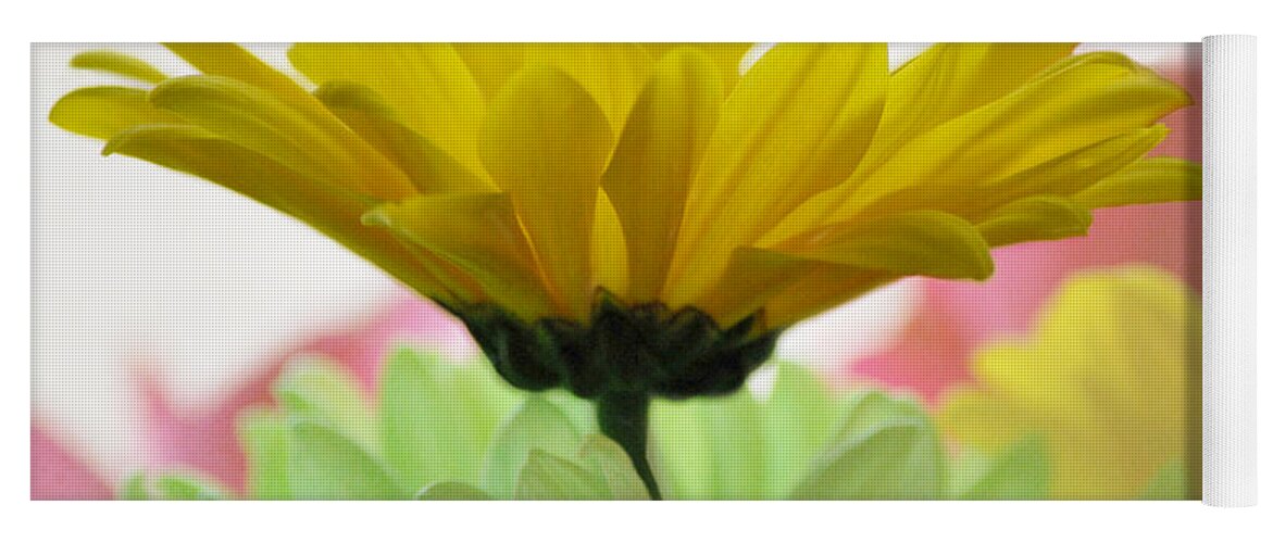 Yellow Flower Yoga Mat featuring the photograph Burst of Color by Linda Segerson