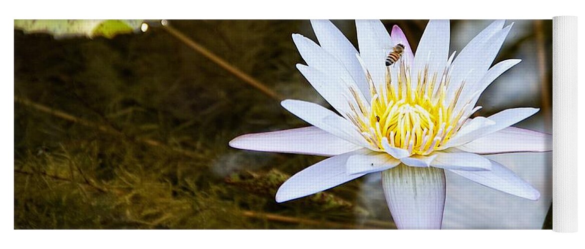Water Lily Yoga Mat featuring the photograph Busy Bee by Dave Files