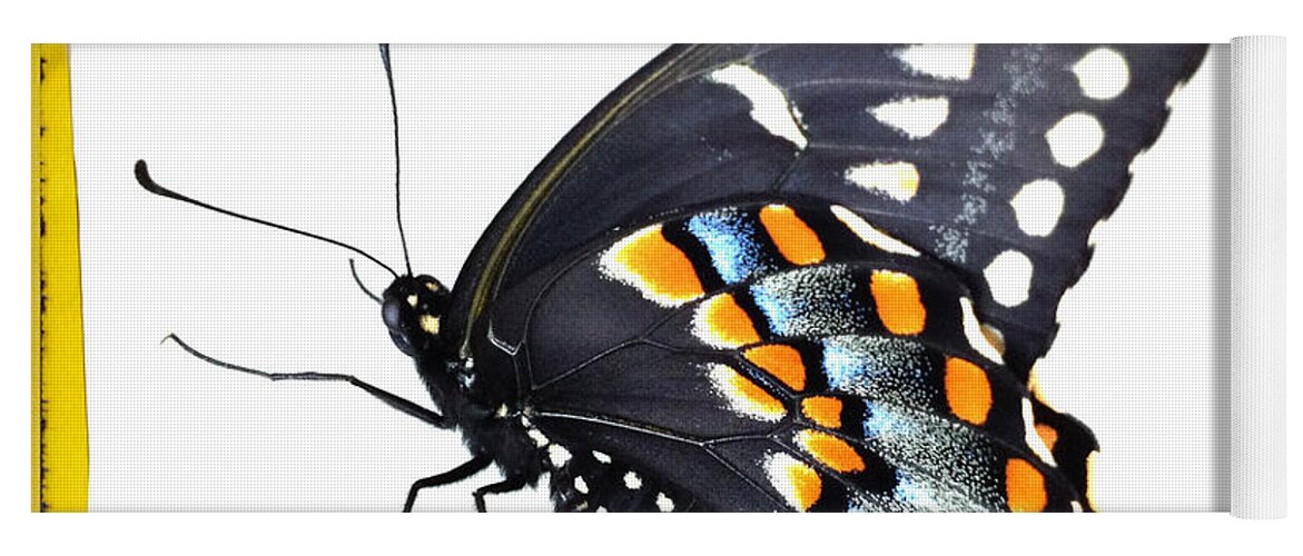 Butterfly Yoga Mat featuring the photograph Butterfly Mellow Yellow by Dorian Hill