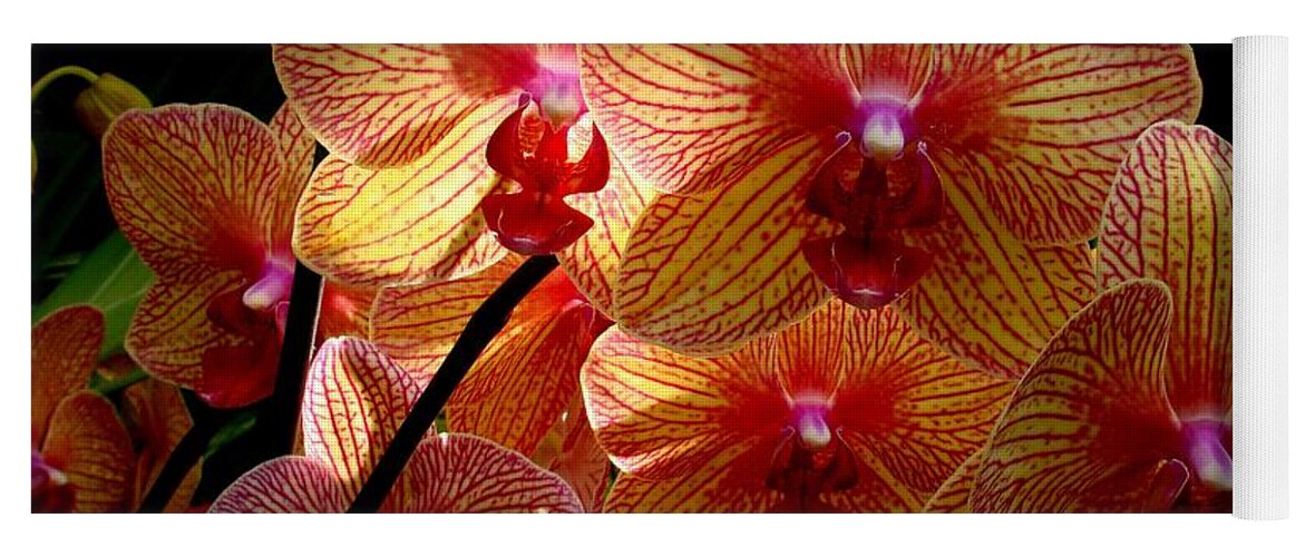 Flowers Yoga Mat featuring the photograph Butterfly Orchids by Rodney Lee Williams