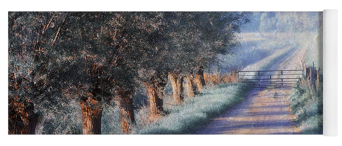 Dream Yoga Mat featuring the photograph By Road of Your Dream. Monet Style by Jenny Rainbow