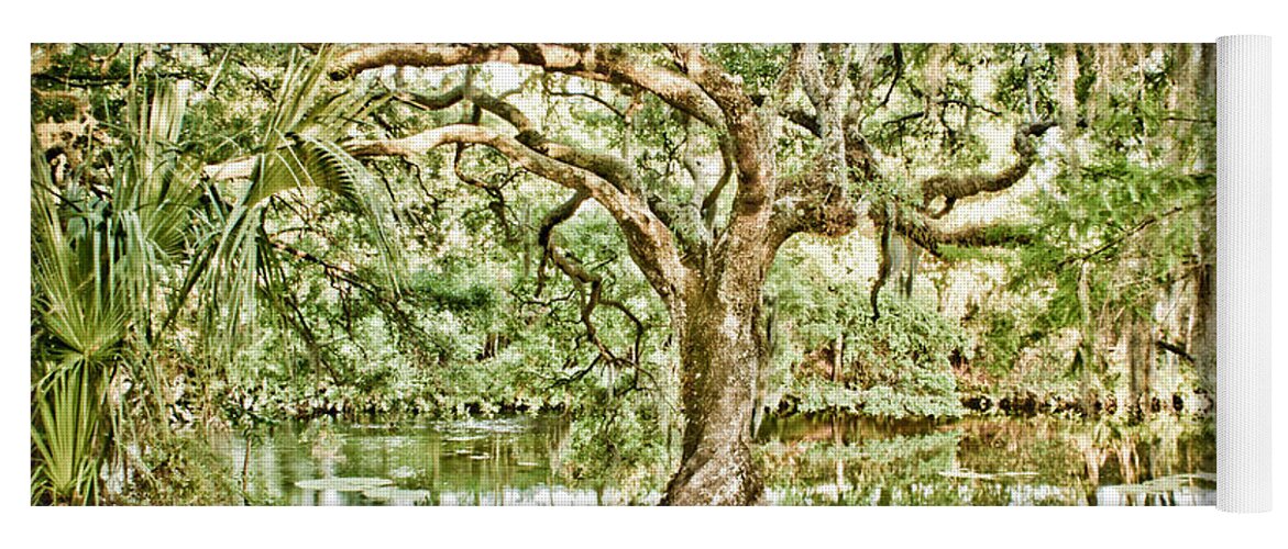 Hillsborough River Yoga Mat featuring the photograph By The River by Chauncy Holmes