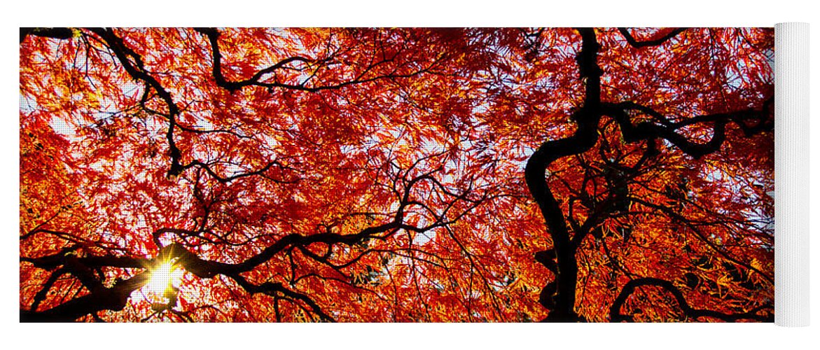 Fall Colors Yoga Mat featuring the photograph By your grace by Kunal Mehra