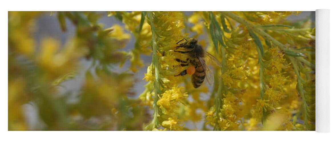 Bee Yoga Mat featuring the photograph Visiting Bee on Goldenrod by Valerie Collins