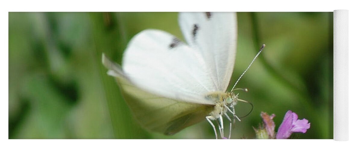 Cabbage White Butterfly Yoga Mat featuring the photograph Cabbage White Dancing on Her Toes by Susan Stevens Crosby