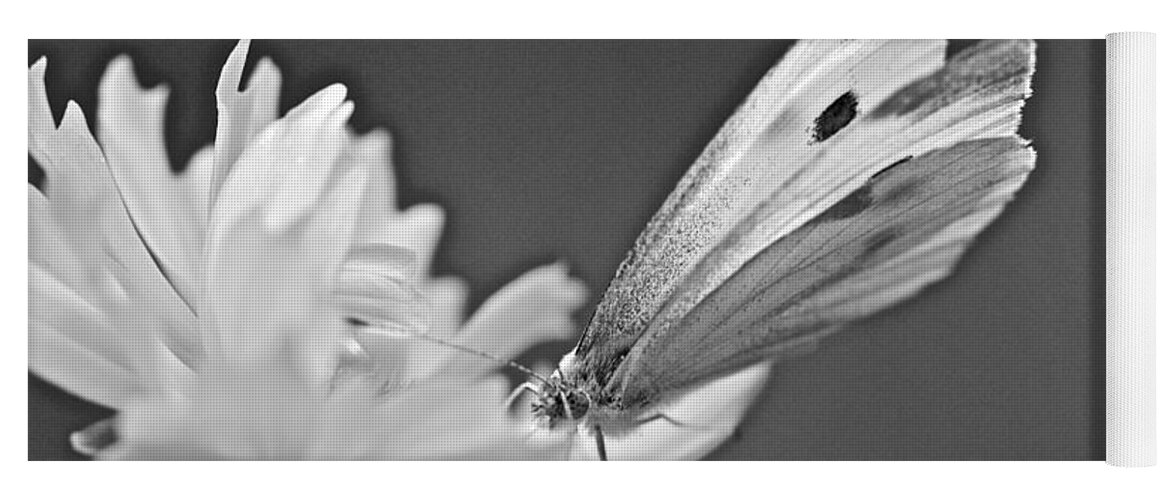 Butterfly Yoga Mat featuring the photograph Cabbage White Butterfly on Cosmos - Black and White by Carol Senske