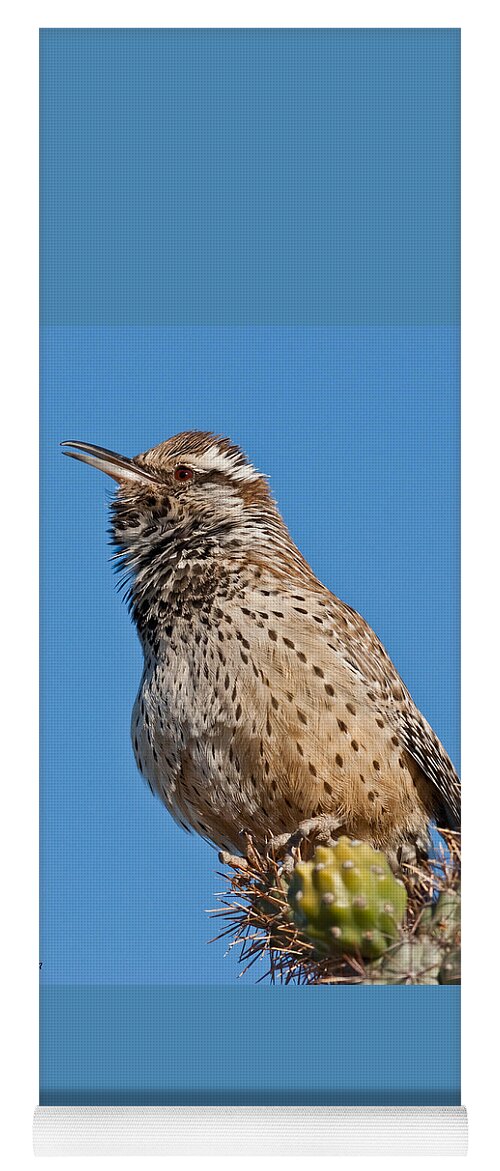 Animal Yoga Mat featuring the photograph Cactus Wren Singing by Jeff Goulden