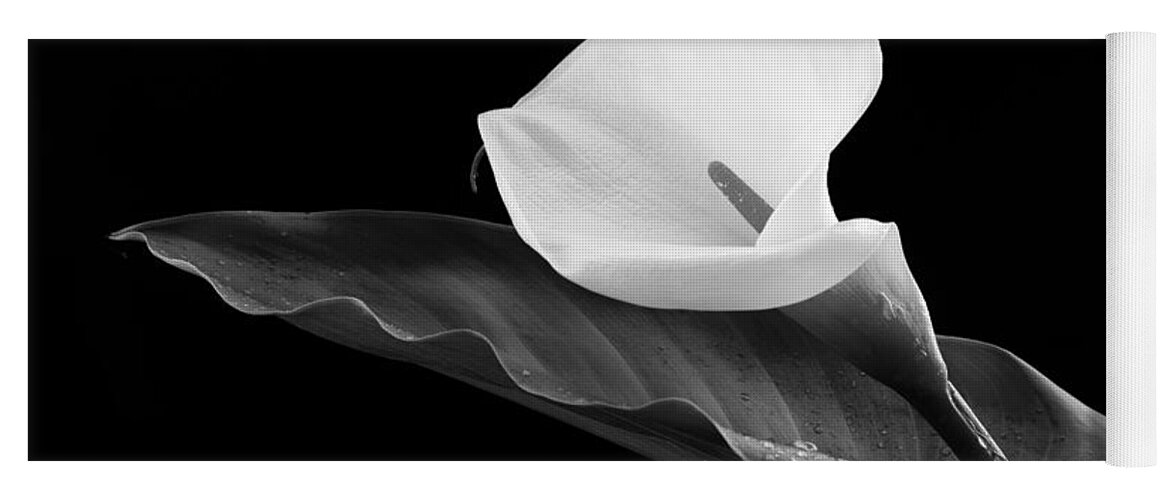 Calla Lili Yoga Mat featuring the photograph Calla lily flower by Michalakis Ppalis