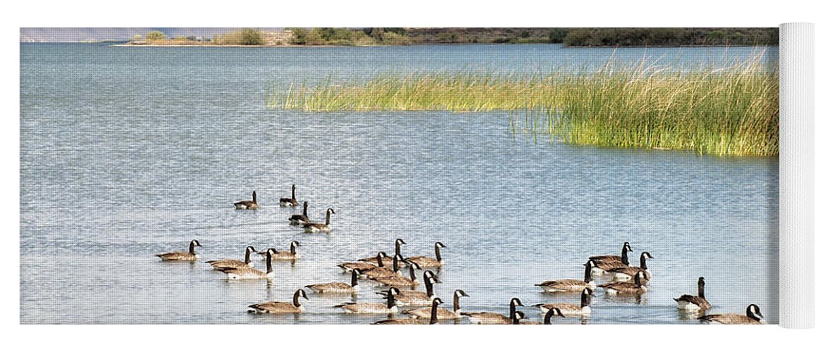 Washington State Yoga Mat featuring the photograph Canada Goose on Banks Lake by Allan Van Gasbeck