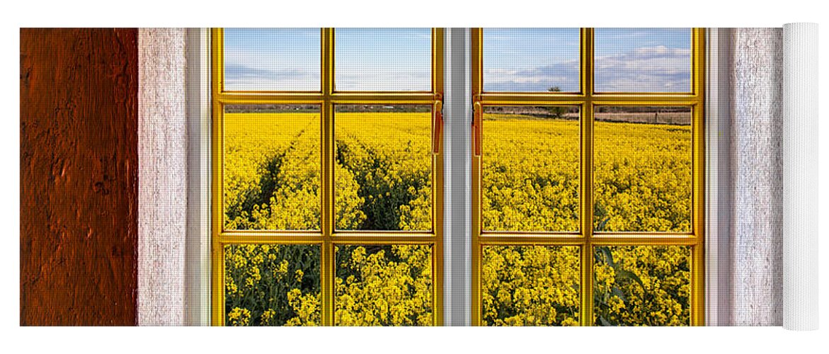 Architecture Yoga Mat featuring the photograph Canola Canola by Semmick Photo