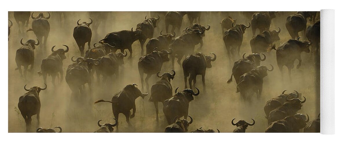 Feb0514 Yoga Mat featuring the photograph Cape Buffalo Herd Stampeding Africa by Pete Oxford