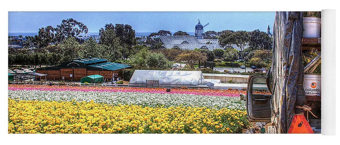 Carlsbad Yoga Mat featuring the photograph Carlsbad Flower Fields by Ann Patterson
