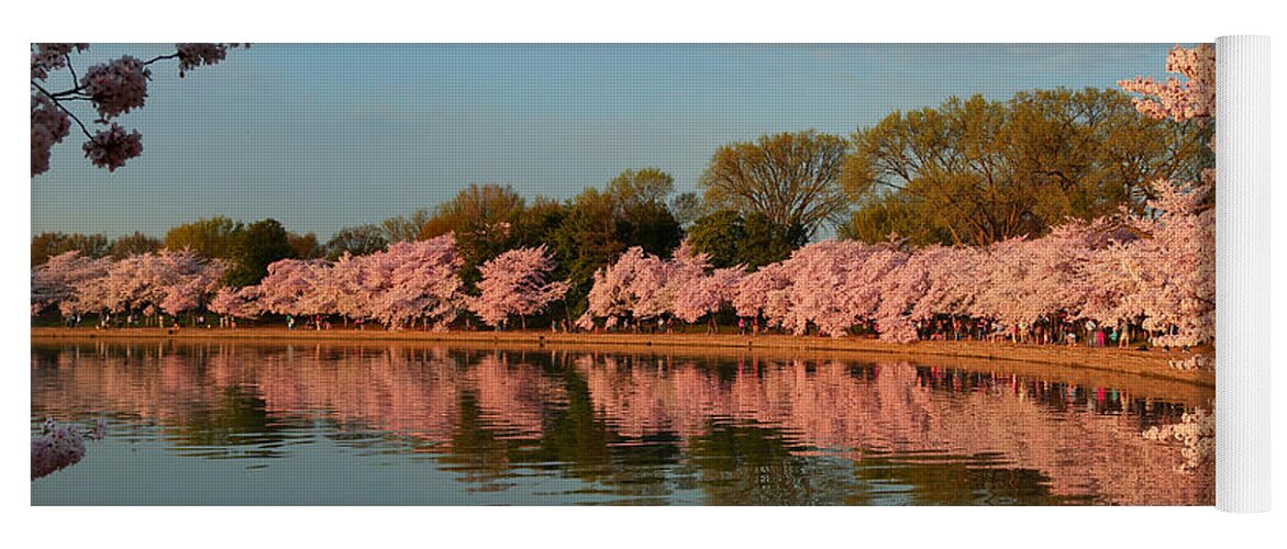 Architectural Yoga Mat featuring the photograph Cherry Blossoms 2013 - 001 by Metro DC Photography