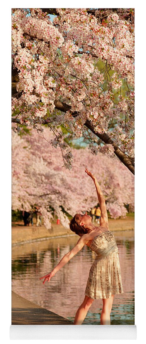 Architectural Yoga Mat featuring the photograph Cherry Blossoms 2013 - 077 by Metro DC Photography