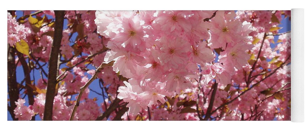 Spring In The City Yoga Mat featuring the photograph Cherry trees blossom by Rosita Larsson