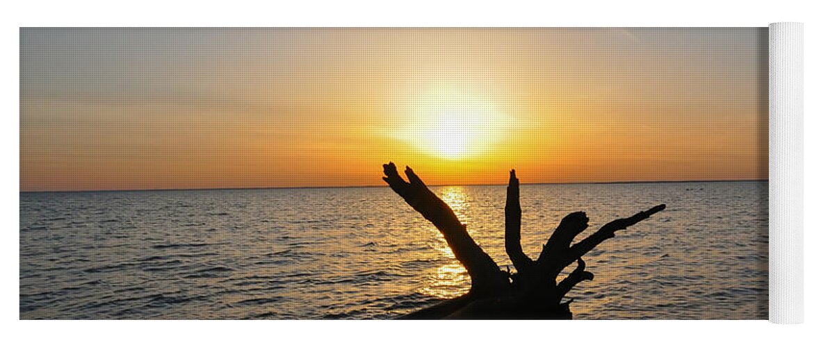 Chesapeake Yoga Mat featuring the photograph Chesapeake Bay Driftwood at Sunset by Bill Cannon