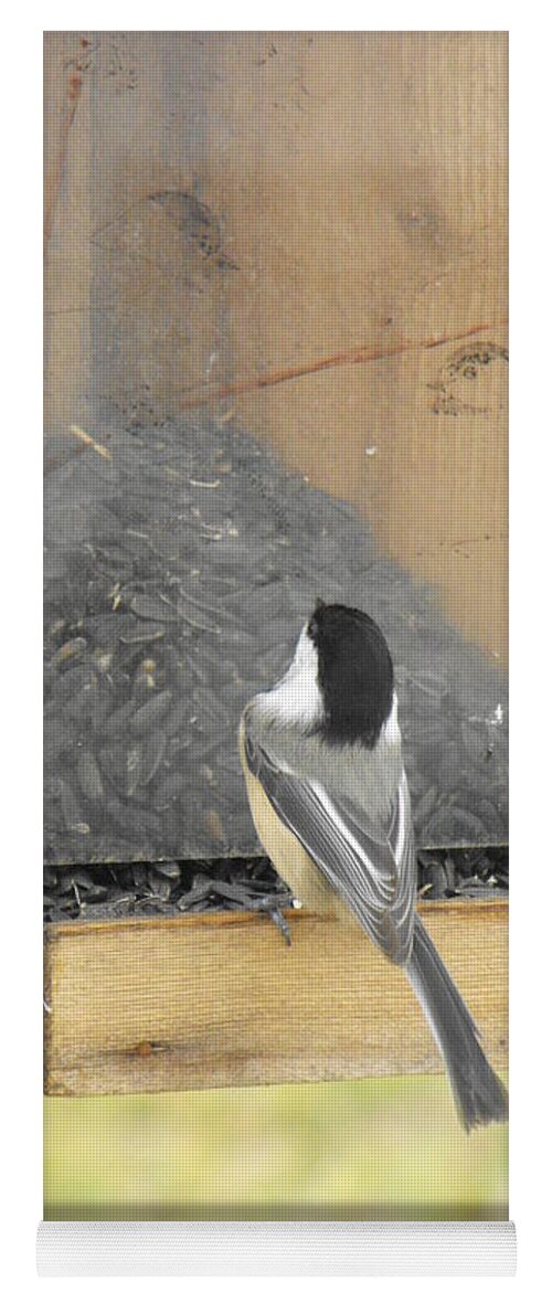 Nature Yoga Mat featuring the photograph Chickadee Eating Lunch by Erick Schmidt