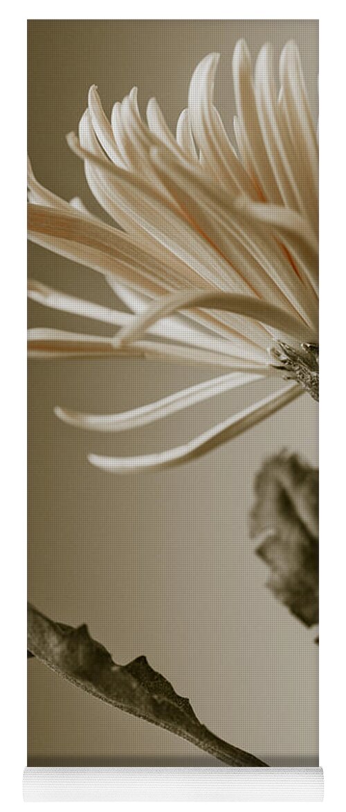 Beautiful Yoga Mat featuring the photograph Chrysanthemum Petals 2 by Jo Ann Tomaselli