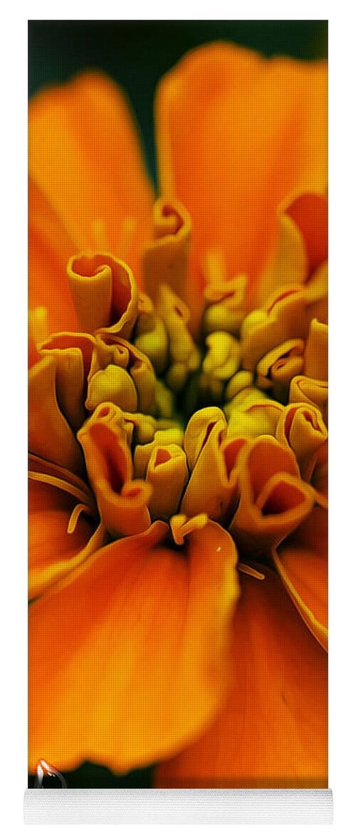 Flower Yoga Mat featuring the photograph Clementine Tear by Bill and Linda Tiepelman