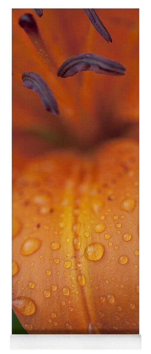 Close Shots Yoga Mat featuring the photograph Close-up Of Orange Lily Flower After by Ron Bouwhuis