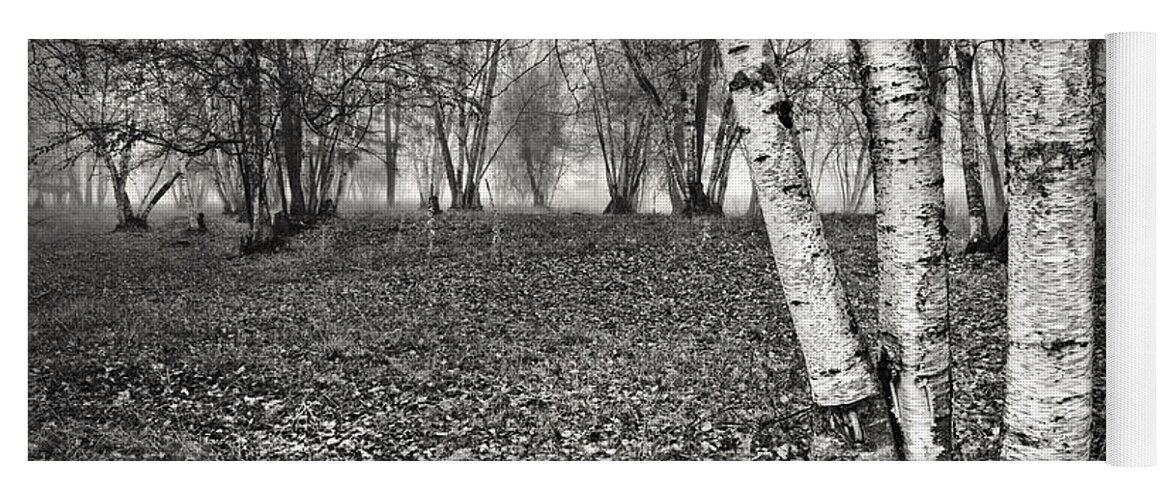 Clumping Birch Yoga Mat featuring the photograph Clumping Birch Trees And Fog by Theresa Tahara
