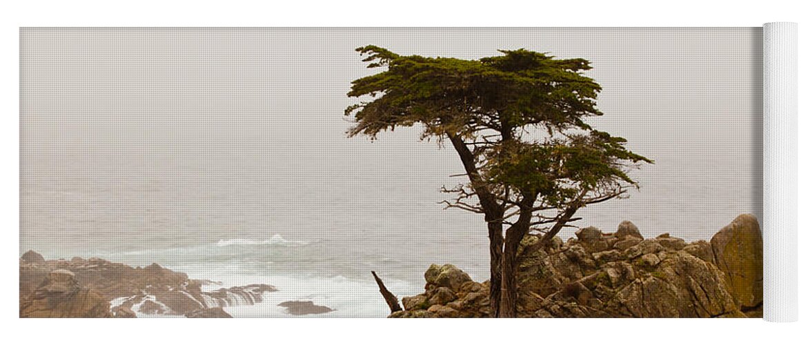 2012 Yoga Mat featuring the photograph Coastline Cypress by Melinda Ledsome