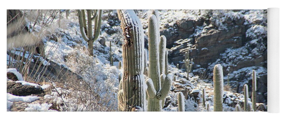 David S Reynolds Yoga Mat featuring the photograph Cold Saguaros by David S Reynolds