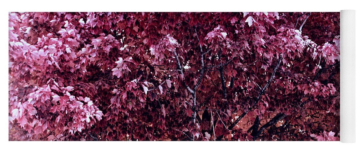 Autumn Yoga Mat featuring the photograph Color In The Tree 01 by Thomas Woolworth