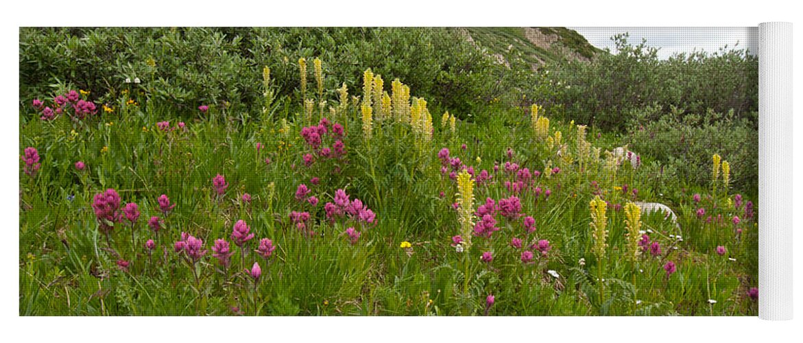 Colorado Wildflower Splendor Yoga Mat by Cascade Colors - Cascade