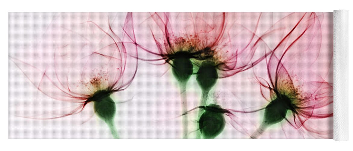 Rose Yoga Mat featuring the photograph Colorized X-ray Of Roses by Scott Camazine