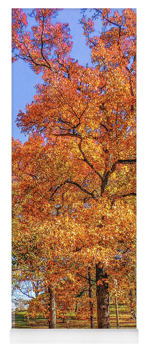 Autumn Leaves Yoga Mat featuring the photograph Colors of Fall by Charlie Cliques