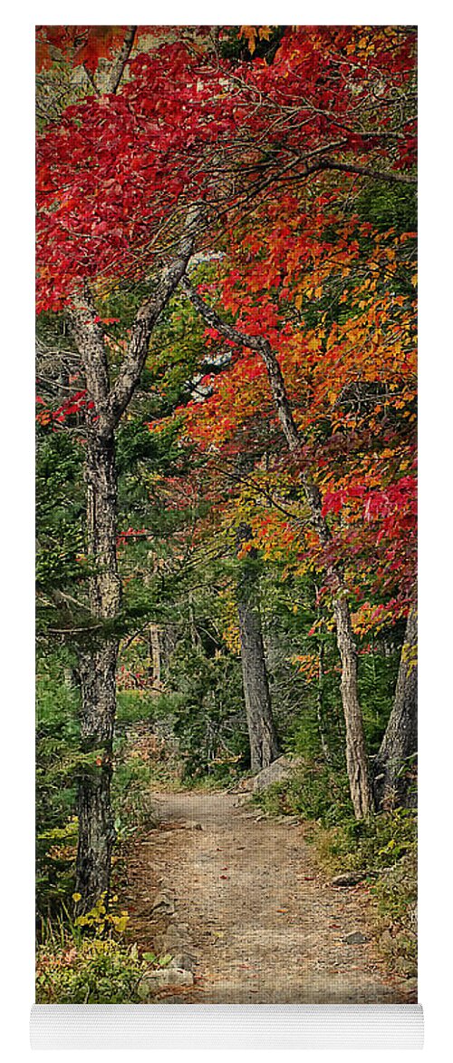 Autumn Yoga Mat featuring the photograph Come Walk with Me by Priscilla Burgers