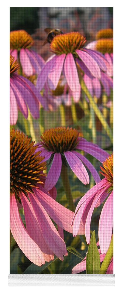 Bee Yoga Mat featuring the photograph Coneflowers by Caryl J Bohn
