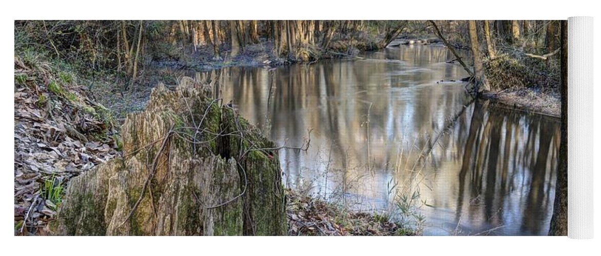 Congaree Yoga Mat featuring the photograph Congaree Creek-1 by Charles Hite