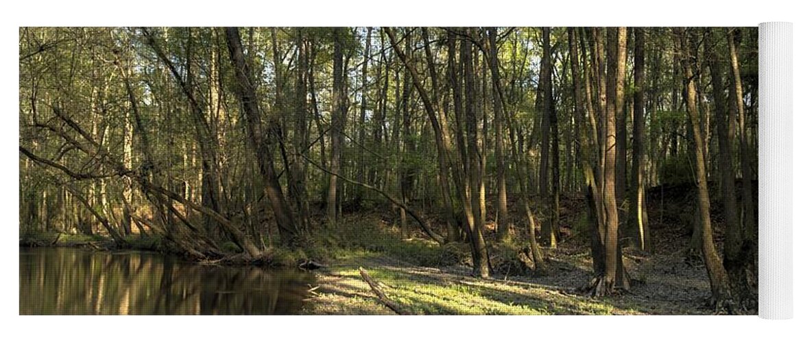 Congaree Creek Yoga Mat featuring the photograph Congaree Creek-4 by Charles Hite