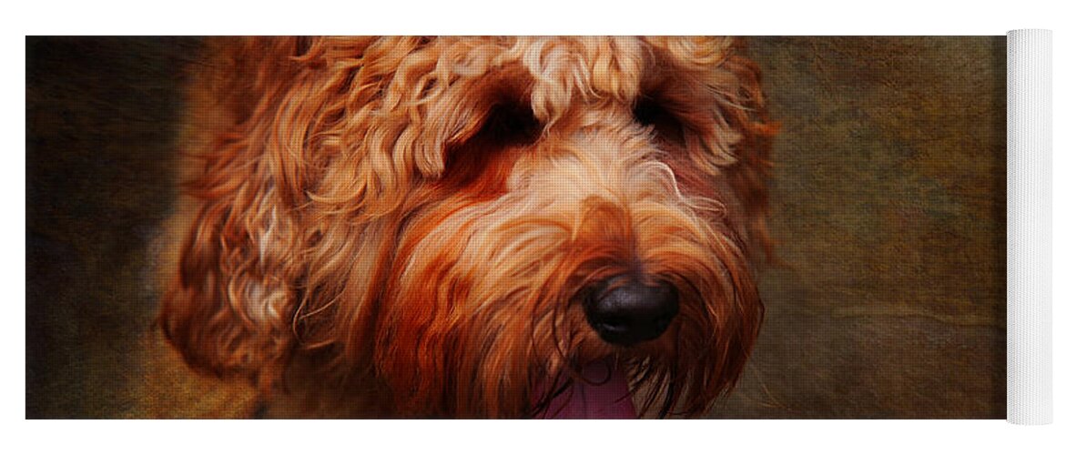 Australian Labradoodle Yoga Mat featuring the photograph Cooper by Jenny Rainbow