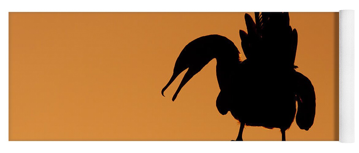 Cormorant Yoga Mat featuring the photograph Cormorant Silhouette by Bryan Keil