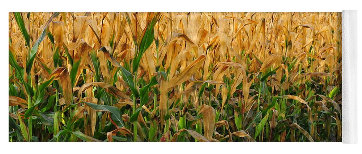 Farm Yoga Mat featuring the photograph Corn Harvest by Terri Gostola